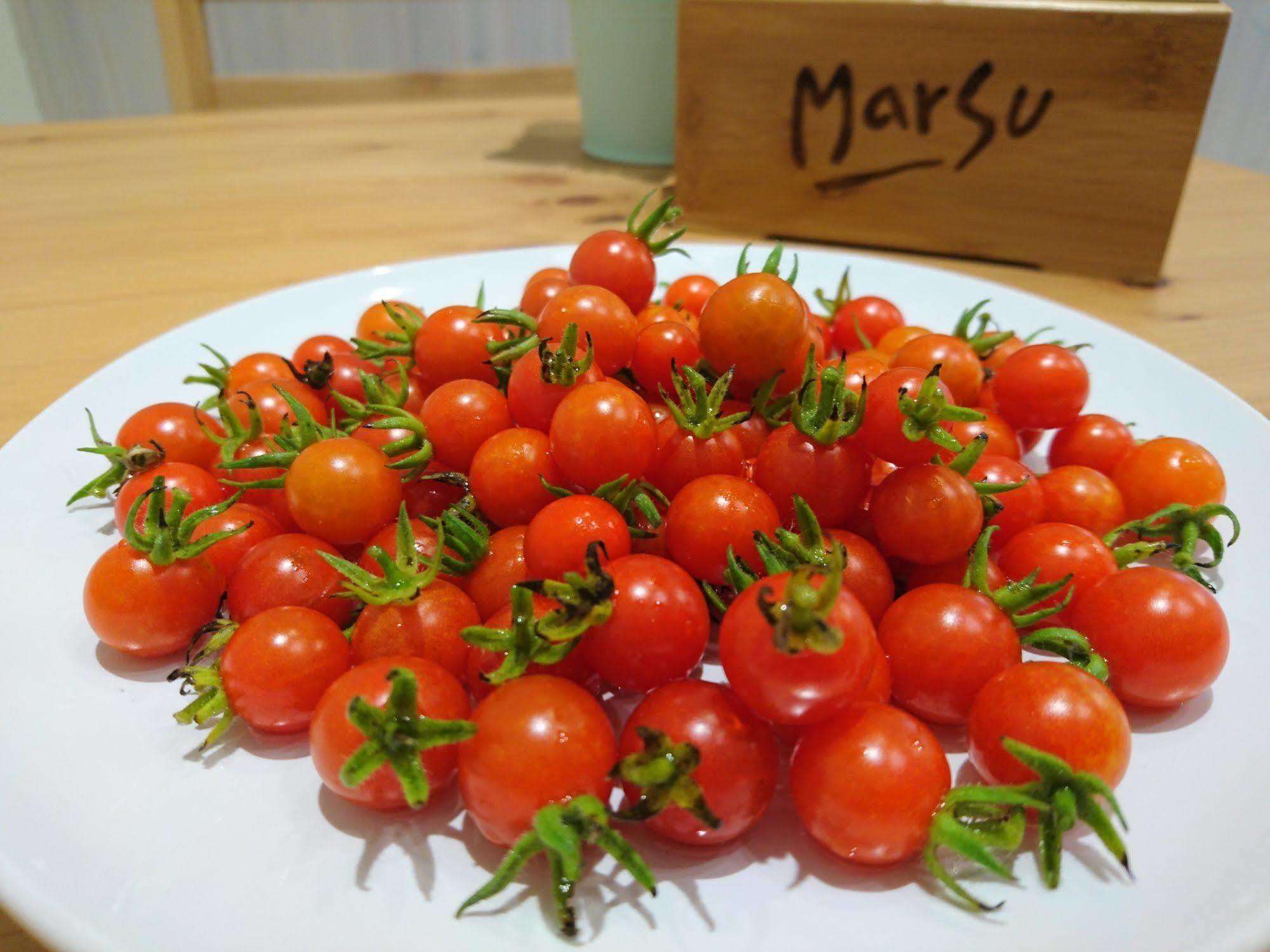 Marsu Xincheng B&B Xincheng Township Εξωτερικό φωτογραφία